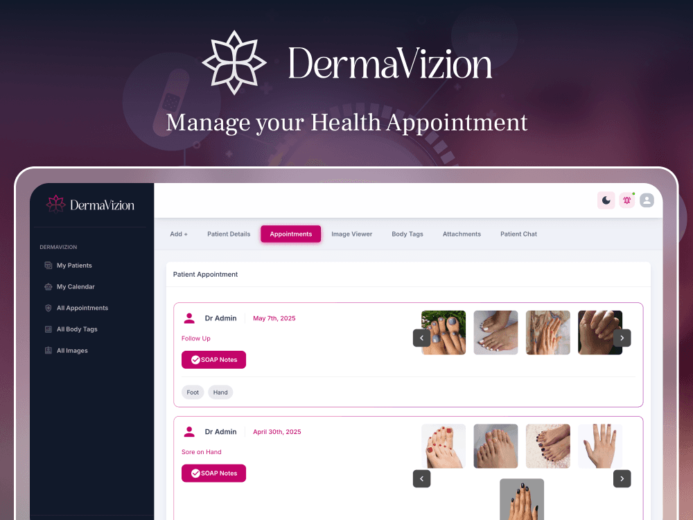 DermaVizion interface addressing documentation precision